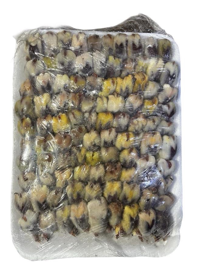 750f9f35-349e-4ac8-9fd7-967f52be7a9b عصافير التين لبناني طبق 100 حبه - الصورة 1