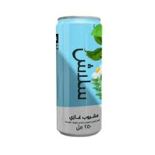 img_6004 مشروب غازي نكهات طبيعيه 250 مل 6 حبه - الصورة 1
