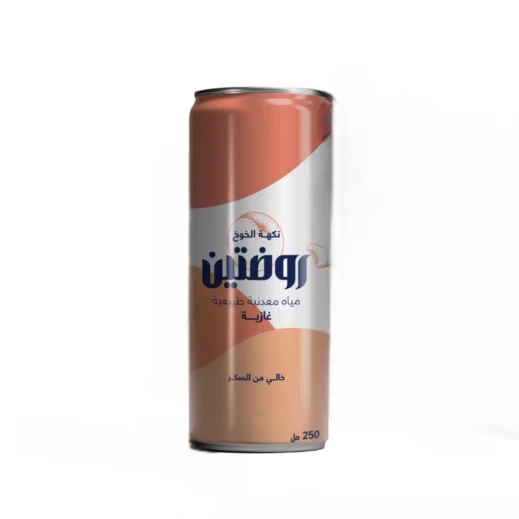 img_8010 مياة معدنية غازية بنكهة الخوخ الروضتين 6 حبات - الصورة 1